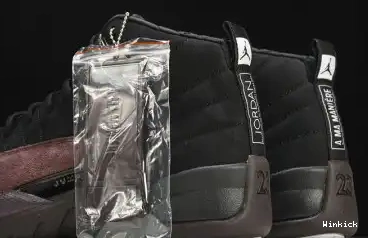RETRO SP Jordan Air DV6989-001 WMNS AJ12 12 0603